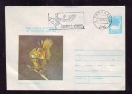 SQUIRREL, 1980, COVER STATIONERY, ENTIER POSTAL, RARE CACHET, ROMANIA - Rodents