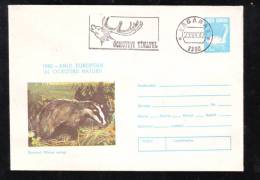 BADGEL, 1980, COVER STATIONERY, ENTIER POSTAL, RARE CACHET, ROMANIA - Rodents