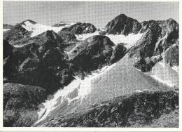 Leventina - Gruppo Del Campo Tencia            Ca. 1940 - Campo