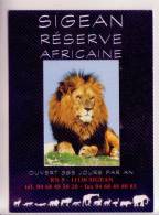12 SIGEAN Réserve Africaine Lion Animaux Non écrite - Sigean