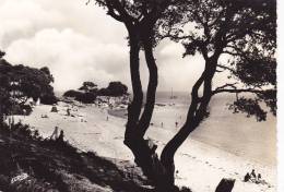 ¤¤  1063  - NOIRMOUTIER -  Plage St-Pierre , Vue Du Bois De La Chaize ¤¤ - Noirmoutier