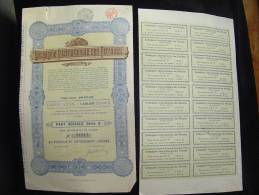 Part Sociale Série B " Cie Internationale Des Pétroles " Bruxelles 1925. Bon état,avec Coupons Non Attachés - Aardolie