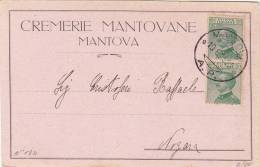 MANTOVA  /  NOGARA  19.8.1925 - Card_ Cartolina Pubbl.  " CREMERIE MANTOVANE  " - Centesimi 20 X 2 - Reclame