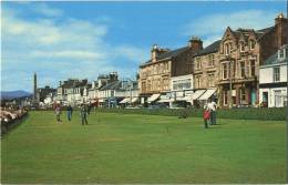 Helenburgh  :  UK  :  The Putting Green  (  GOLF )   Small Card  14 X 9 Cm - Golf