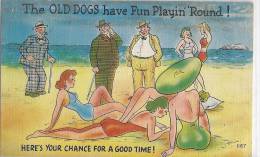 Cpa Usa, Humorous, Humour, The Old Dogs Have A Fun Playin'round! Here's Your Chance For A Good Time - Other & Unclassified