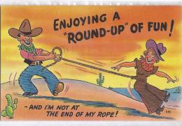 Cpa Usa, Humorous, Humour, Enjoying A Round Up Of Fun! And I'm Not At The End Of My Rope! - Sonstige & Ohne Zuordnung