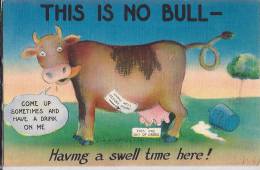 Cpa Usa, Humorous, Humour, This Is No Bull,come Up Sometimes And Have A Drink On Me; Having A Swell Time Here - Autres & Non Classés