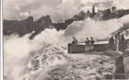 SVIZZERA SUISSE CARTOLINA POSTCARD ANNI 40/50 - RHEINFALL-CASCATE DEL RENO - Sonstige & Ohne Zuordnung