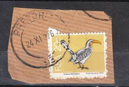 Sud Africa   -   1974.  Bucero Becco Giallo.  Thockus - Piciformes (pájaros Carpinteros)