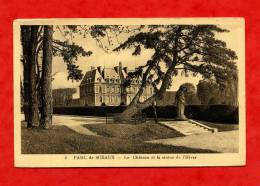 * SCEAUX-PARC DE SCEAUX-Le Château Et La Statue De L´hiver - Sceaux