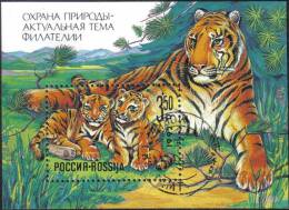 1992 Nature Conservation Big Cat Tiger Russia Stamp CTO - Colecciones