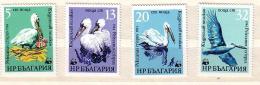 1984  WWF- PELICAN  4v.-MNH BULGARIA /Bulgarie - Pélicans