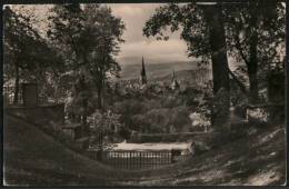 AK Wernigerode, Blick Vom Lustgarten, Gel, 1958 - Wernigerode