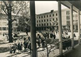 Kassel Jacob Grimm Schule - Kassel