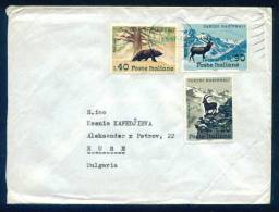 114100 Envelope  1967 TORINO - PARCHI NAZIONALI  - BEARS , DEER ,  GOAT , Italia Italy Italie Italien Italie - Ours