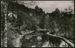 AK Annaberg-Buchholz, Blick Zum Waldschlößchen, Ung, 1963 - Annaberg-Buchholz