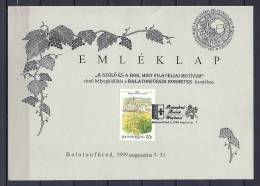 MAGYARORSZAG, 07/08/1999 Balatonfûred Emleklap (GA3062) - Vins & Alcools