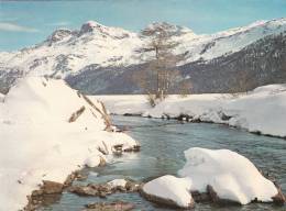 BR21342 Sils Engadin   2 Scans - Sils Im Engadin/Segl