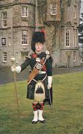 BR23335 Drum Major Of The First Battalion The Black Watch At Balhousie Castle  2 Scans - Perthshire