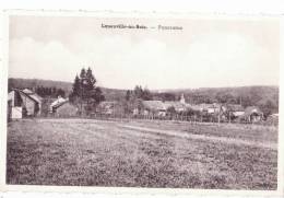 LANEUVILLE-AU-BOIS   Panorama - Tenneville