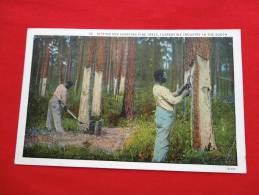 Black American--   Dipping & Scrapping Pine Trees Turpentine Industry In South-1935 Cancel= ==  ====  Ref 672 - Ohne Zuordnung