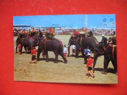 Showing The Elephants Going To Fight The Wars In The Olden-days In Thailand - Olifanten