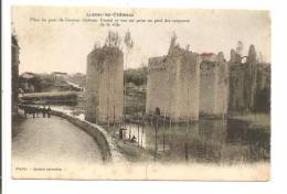 86 -  LUSSAC-les-CHATEAUX  -  Piles Du Pont De L´ancien Château Féodal... Laveuse, Baudet Du Poitou Avec Ses Longs Poils - Lussac Les Chateaux