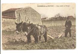 86 -  MIREBEAU-en-POITOU  - Anes Attelés En Pompe - Belle Animation Baudets Du Poitou Race Que L'on Tente De Sauvegarder - Mirebeau