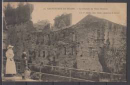 64 - Sauveterre-de-Béarn - Les Ruines Du Vieux Chateau - Sauveterre De Bearn