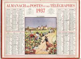 ALMANACH  DES POSTES ET DES TELEGRAPHES( 1937)  Les Vendanges - Tamaño Grande : 1921-40