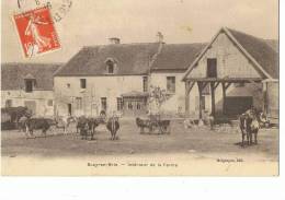 SUCY-en-BRIE --Interieur De La Ferme - Sucy En Brie