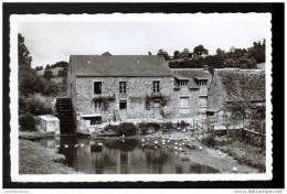 72 - BRULON - LA VEGRE AU MOULIN - POULES - Brulon