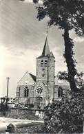 NORD PAS DE CALAIS - 62 - PAS DE CALAIS - AUDRUICQ - L'église - CPSM - Audruicq