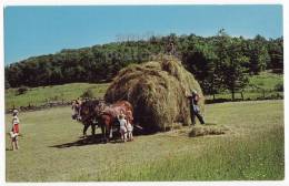 USA - HAYING TIME  - FARMING SCENE - C1960s Vintage Unused Chrome Postcard - HAY HORSE CART  [s3500] - Other & Unclassified