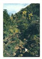 Cp, Martinique, Paysage Dans La Morne Rouge, Voyagée 1989 - Autres & Non Classés