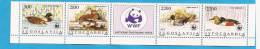 1989x -2328-31 JUGOSLAVIJA WWF BIRDS ANATRE  STRIP PANDA MNH - Anatre