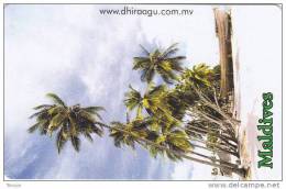 Maldives, MLD-46, Palmtrees, 2 Scans - Maldive