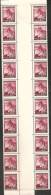 Boemia E Moravia 1939 Nuovo** - Yv.24  Striscia Verticale 20x+interspazio - Unused Stamps