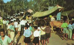 Bullock Carts - Malesia