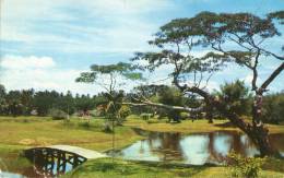 Taiping LAke Perak - Malasia