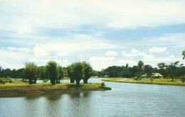 Taiping Lake Perak - Malaysia