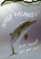 CARTE NEUVE ...DAUPHIN.....VOIR SCANER - Dolphins