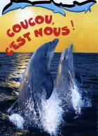 CARTE NEUVE ...DAUPHIN.....VOIR SCANER - Dolphins