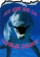 CARTE NEUVE ...DAUPHIN.....VOIR SCANER - Delfines