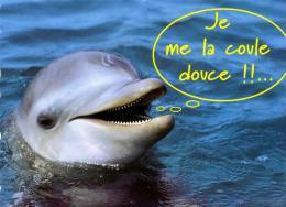 CARTE NEUVE ...DAUPHIN.....VOIR SCANER - Delfines