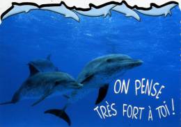 CARTE NEUVE ...DAUPHIN.....VOIR SCANNER - Dauphins