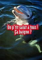 CARTE NEUVE .. .DAUPHINS.....VOIR SCANNER - Dolphins