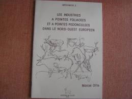 ARTEFACTS 2 LES INDUSTRIES A POINTES FOLIACEES PEDONCULEES NORD OUEST EUROPEEN CEDARC à Treignes Histoire Archéologie - Arqueología