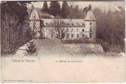 HABAY LA NEUVE. LE CHATEAU DU PONT D'OYE. - Habay