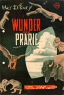 IFK 2387 Wunder Der Prärie 1955 Walt Disney The Vanishing Prairie Büffel USA - Zeitschriften